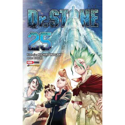 Dr Stone 25